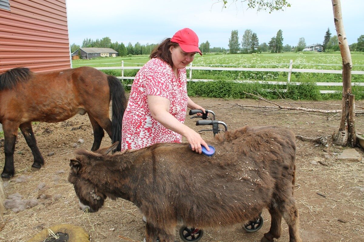 Savonia-artikkeli: Green Care -palvelut Sosiaalialalla - Savonia-AMK