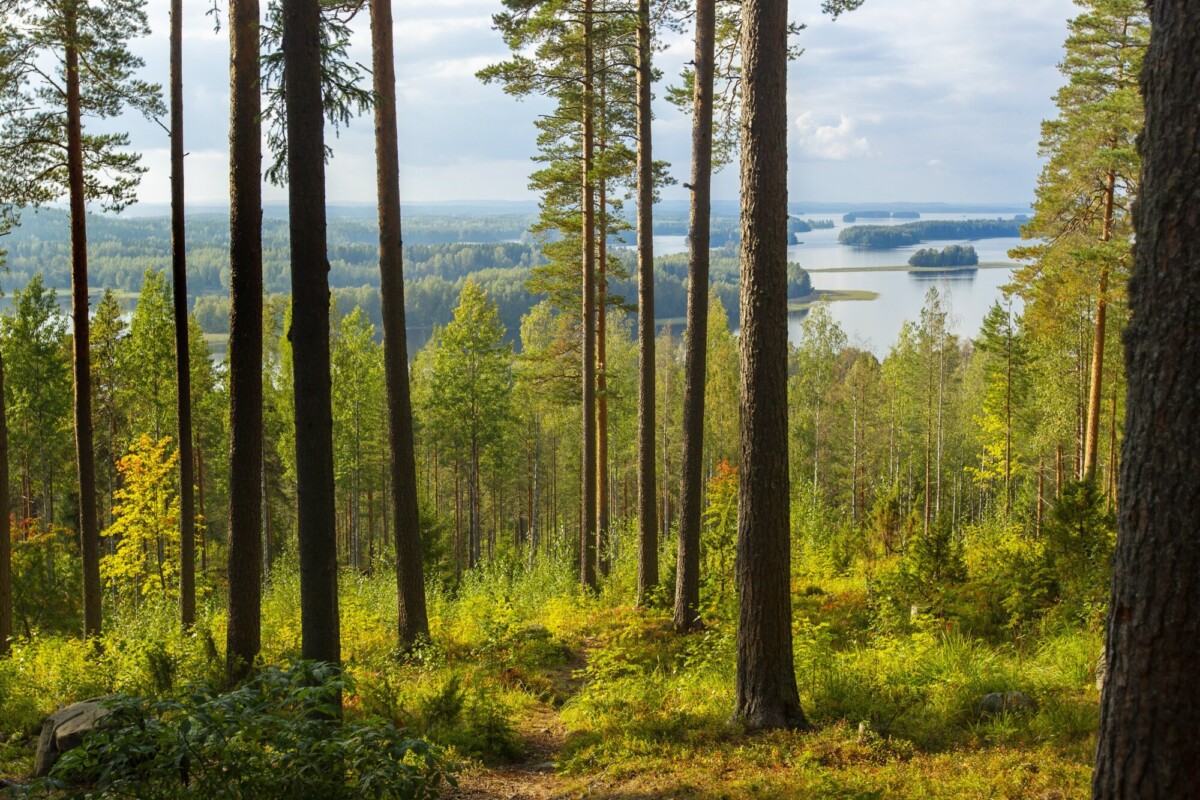 Source: https://www.kuopio.fi/en/city-of-kuopio/communications-and-marketing/images-and-videos/