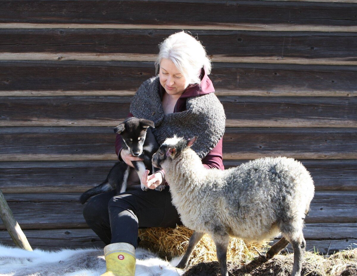 Agrologiopiskelija Terhi ja lampaita.