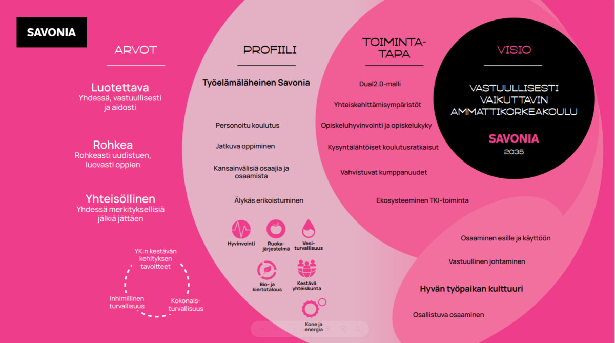 Infograafissa kuvataan Savonian strategiaa, arvot, profiili, toimintatapa ja visio.