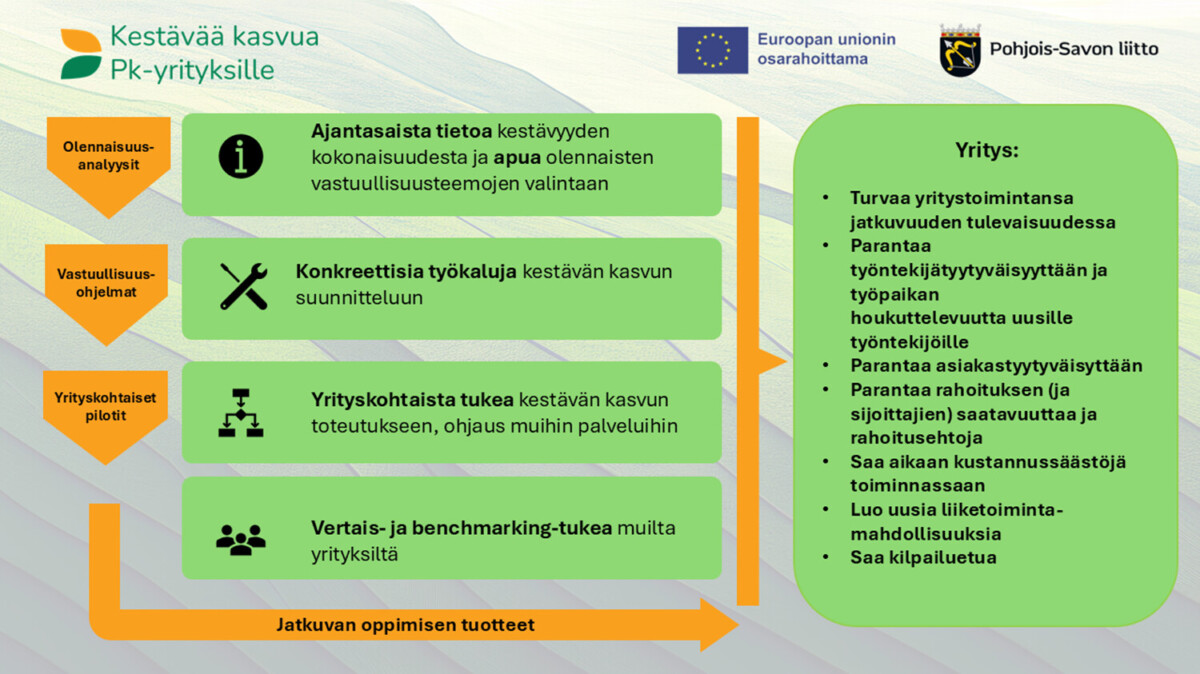 Kuvassa kestävää kasvua pk-yrityksille -hankkeen toimintamalli