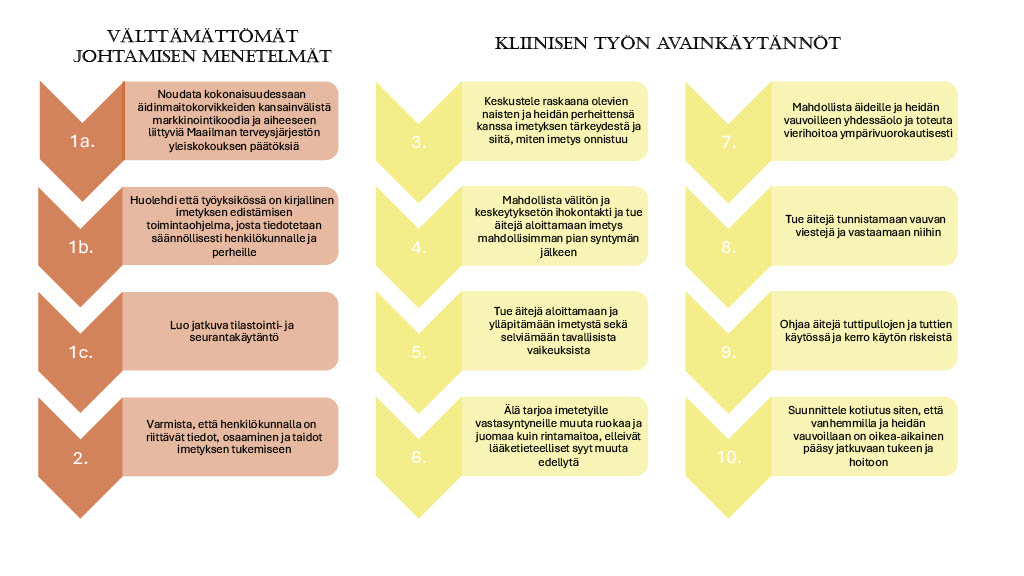 Kaaviossa kuvattu vauvamyönteisyysohjelman 10 askelta onnistuneeseen imetykseen.