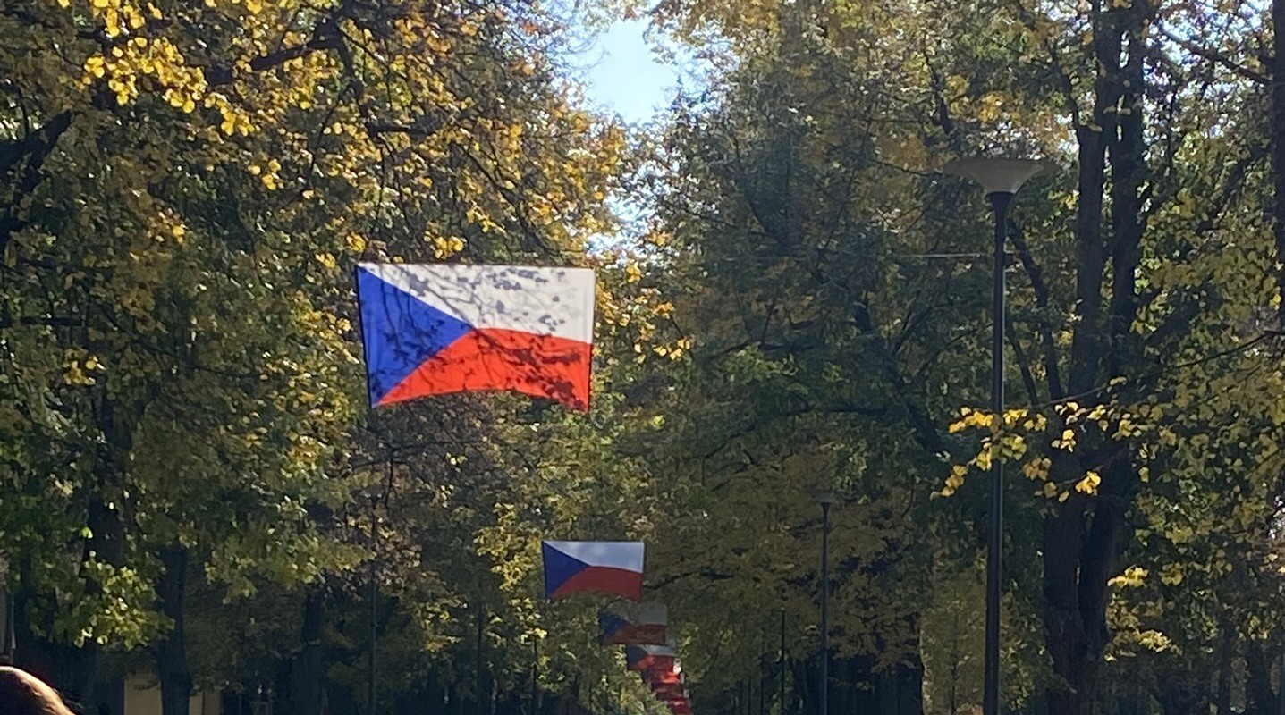 Czech flags and trees.