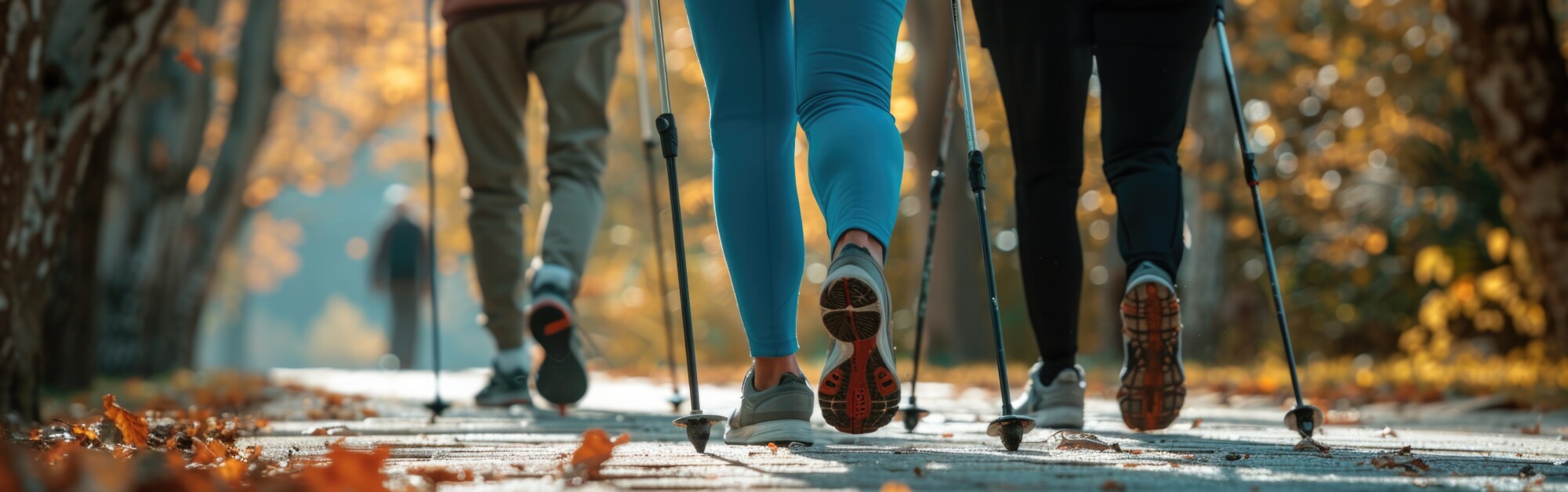 Senior people doing nordic walking outdoors.