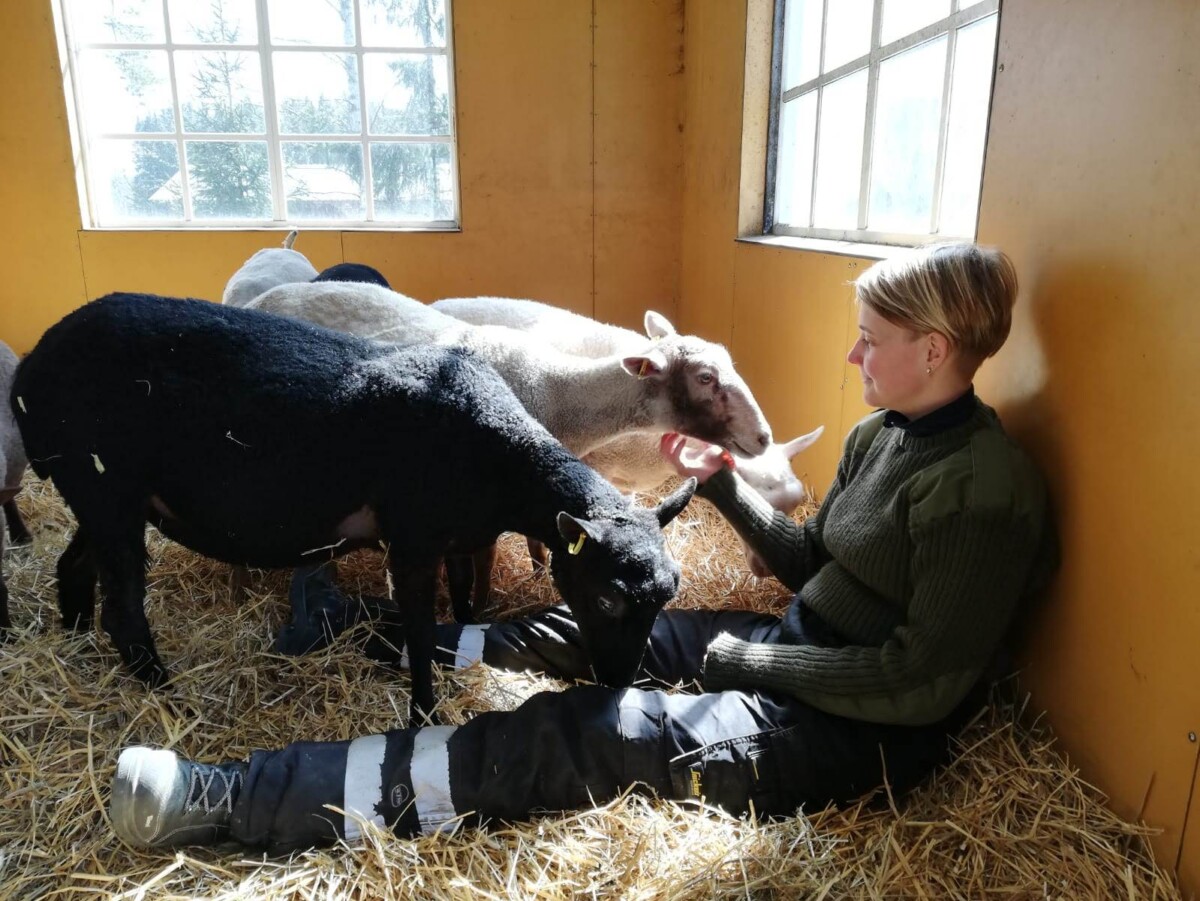 Anni opiskelee agrologiksi.