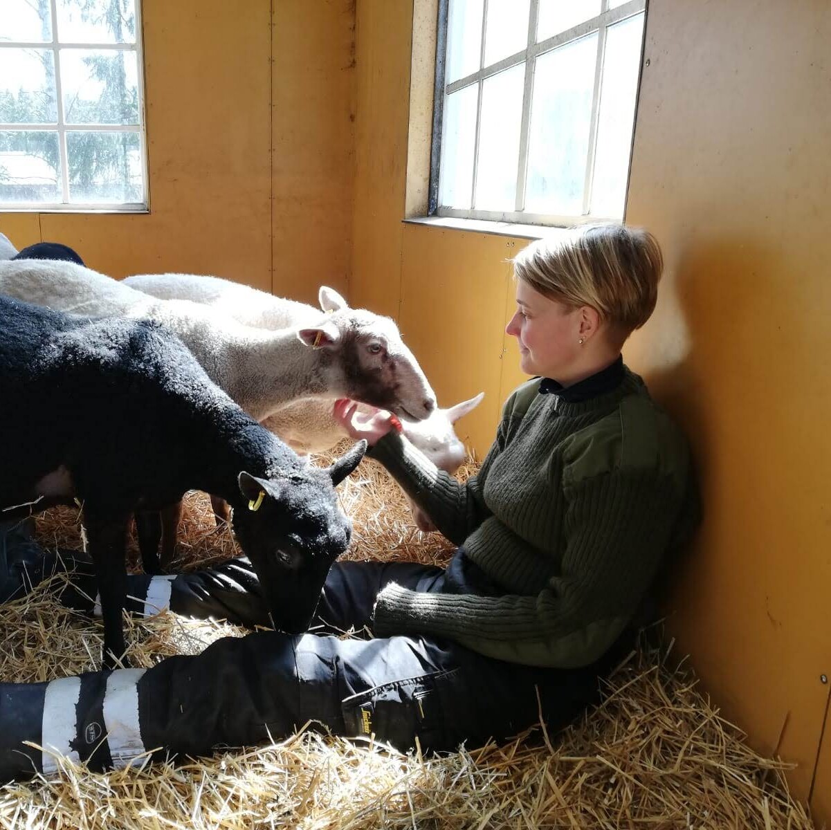 Anni opiskelee agrologiksi.