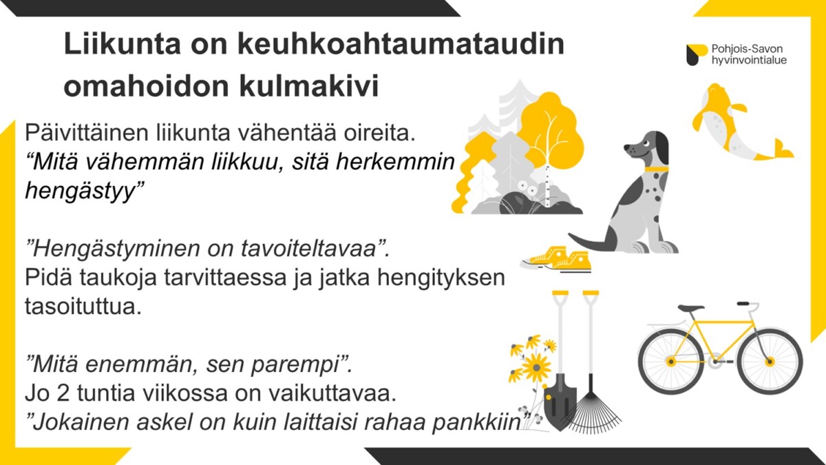 Kuva 1: Keuhkoahtaumatautipotilaan liikunta pähkinänkuoressa (KATit LIIKKEELLE -malli 2024). 